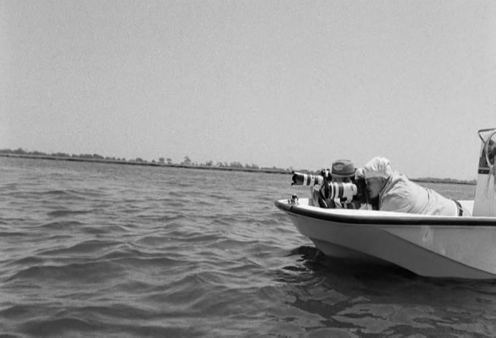 I Love You, Daddy（原題）の画像