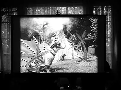 フランケンウィニーの画像