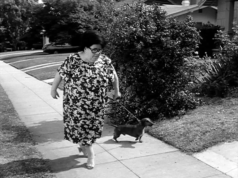 フランケンウィニーの画像