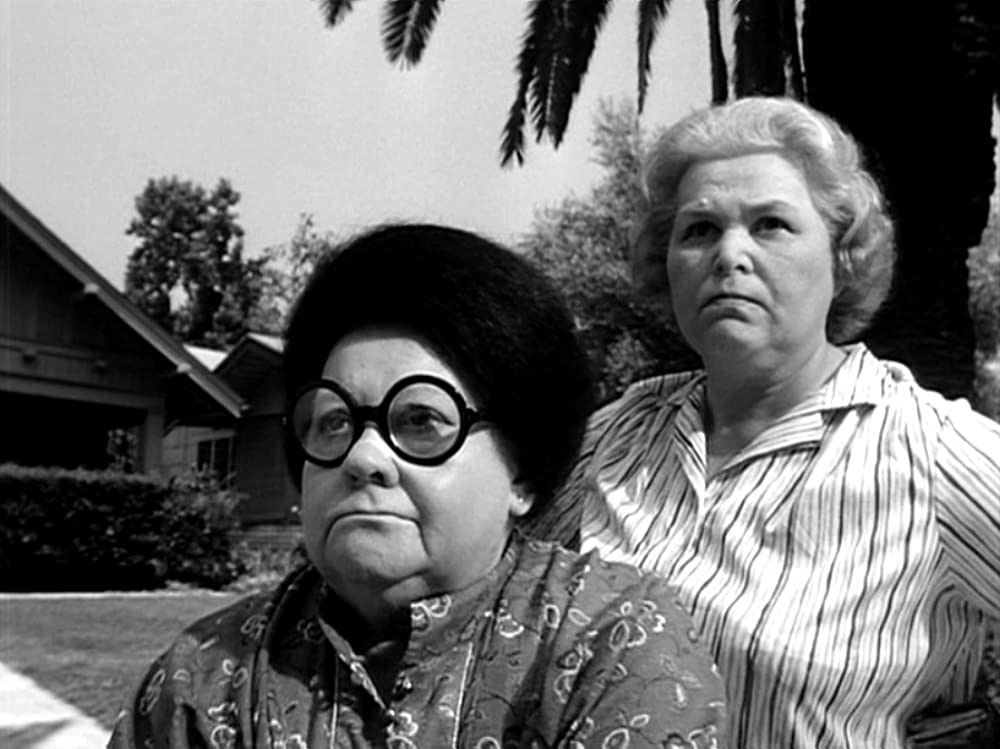 フランケンウィニーの画像