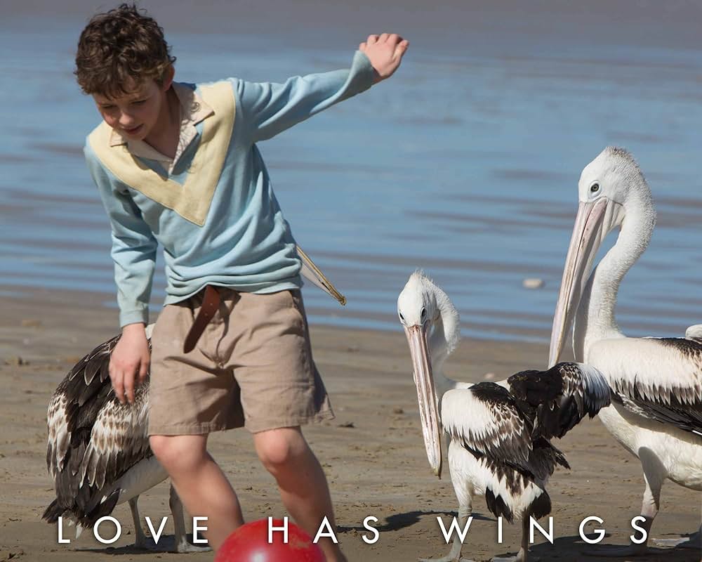 Storm Boy（原題）の画像