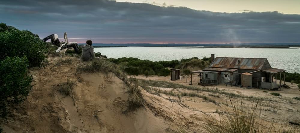 Storm Boy（原題）の画像