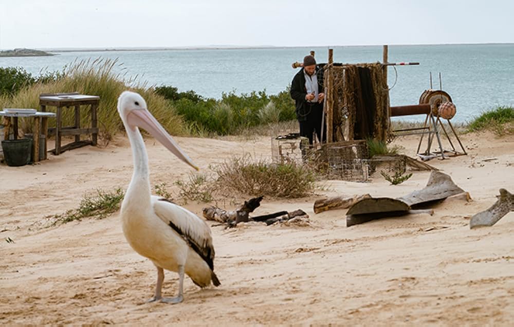 Storm Boy（原題）の画像