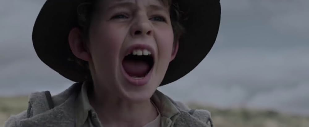 Storm Boy（原題）の画像