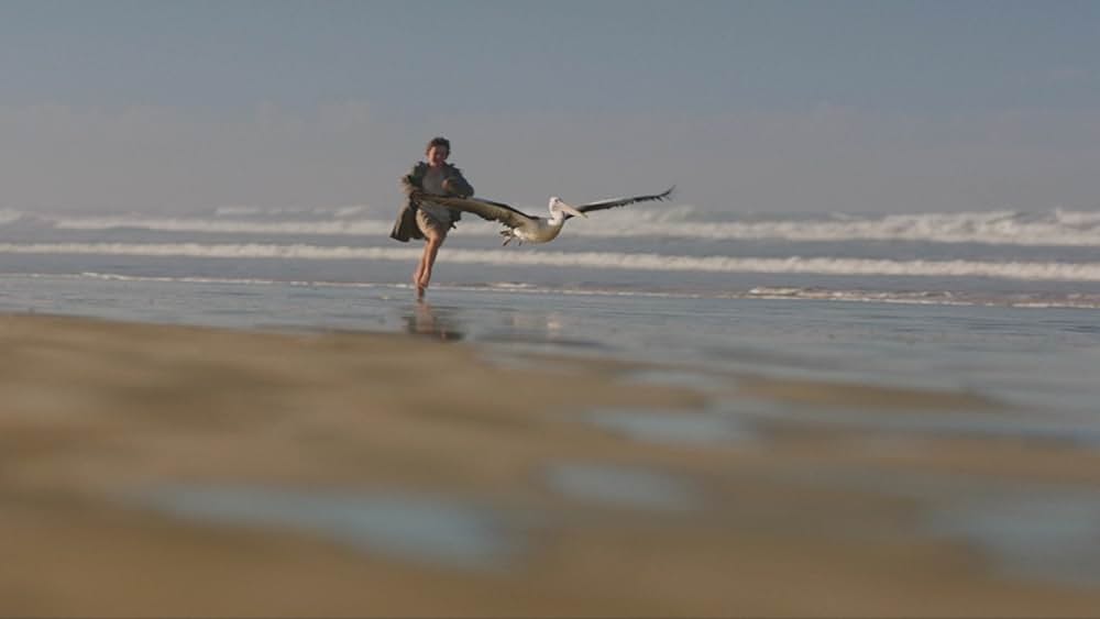 Storm Boy（原題）の写真