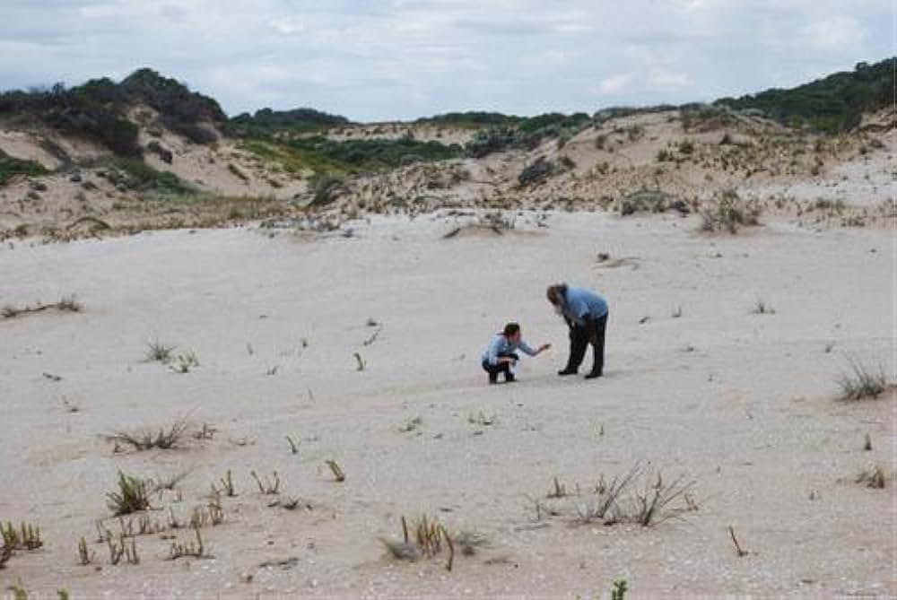Storm Boy（原題）の画像