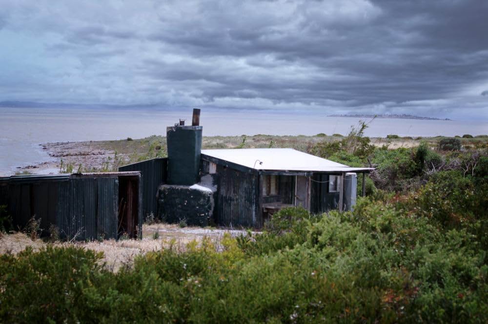 Storm Boy（原題）の画像