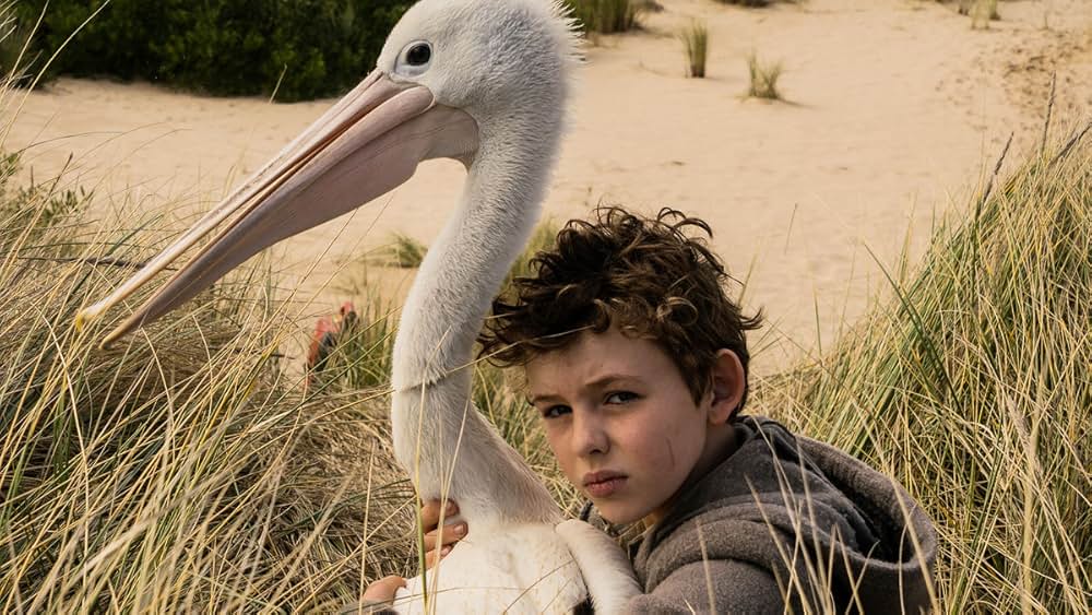 Storm Boy（原題）の画像