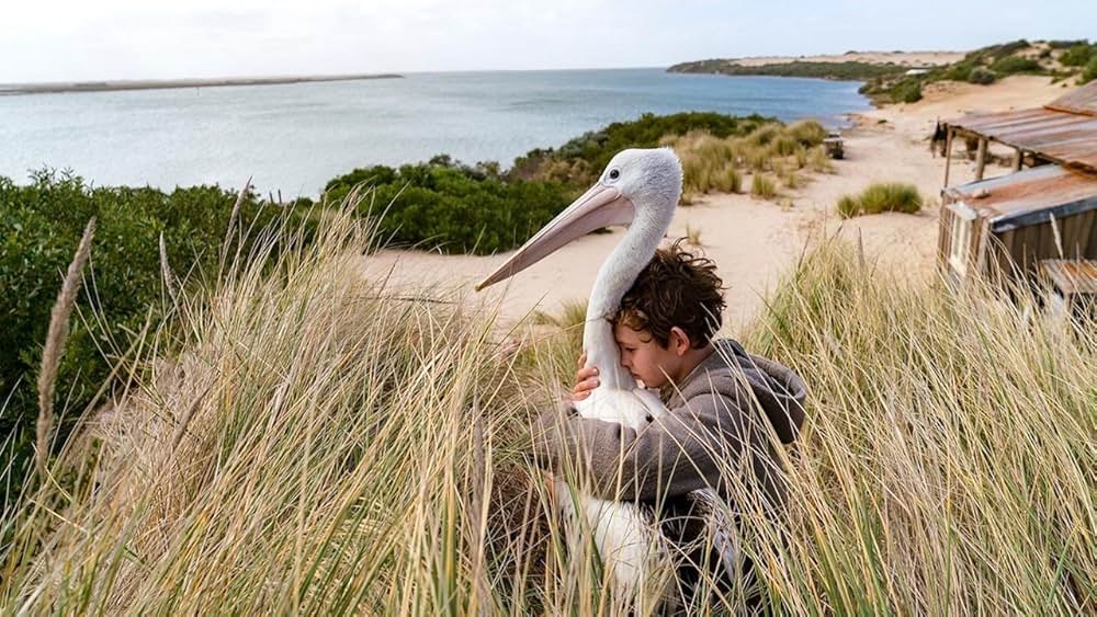 Storm Boy（原題）の画像