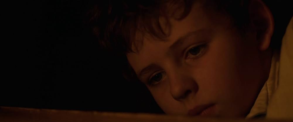 Storm Boy（原題）の画像