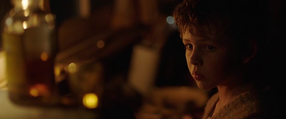 Storm Boy（原題）の画像