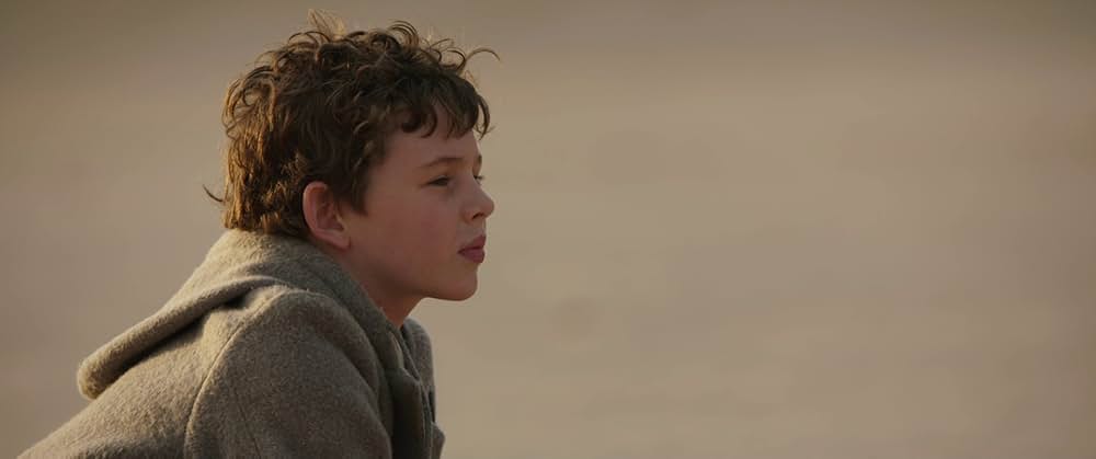 Storm Boy（原題）の画像