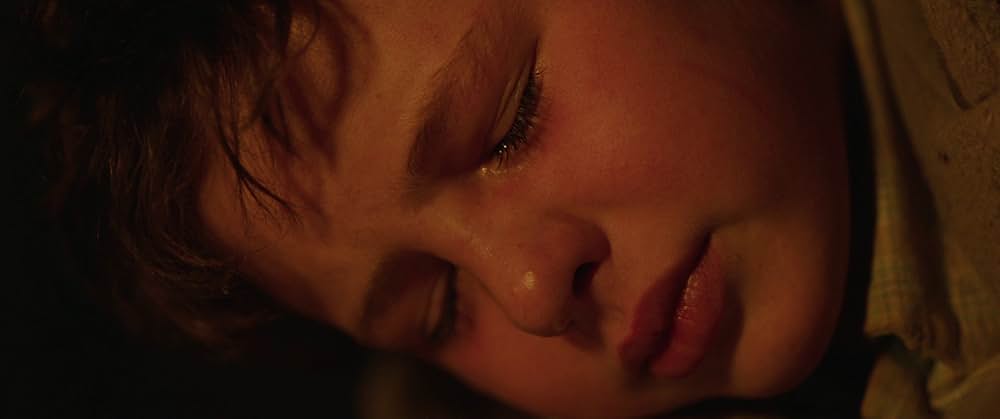 Storm Boy（原題）の画像