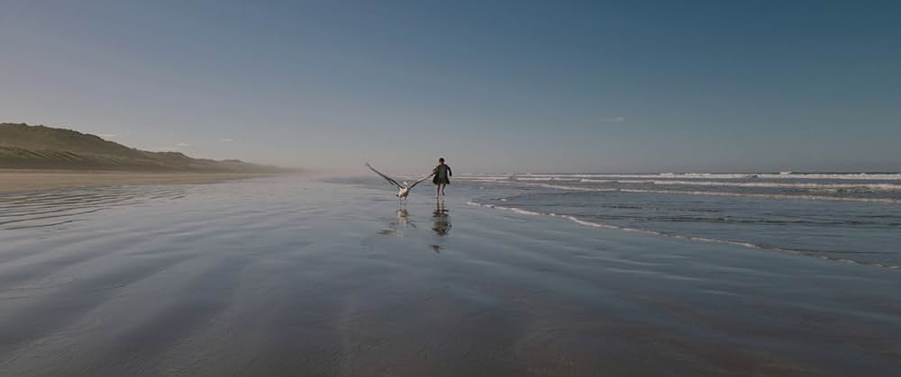 Storm Boy（原題）の画像