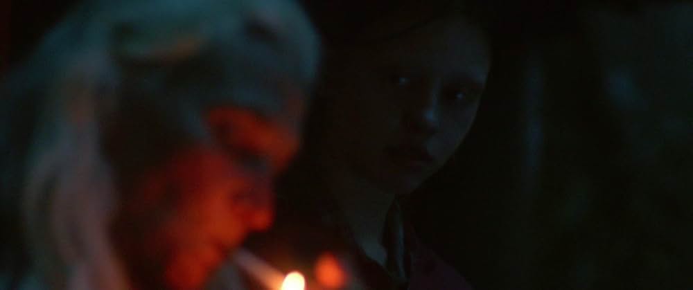 The Survivalist（原題）の画像