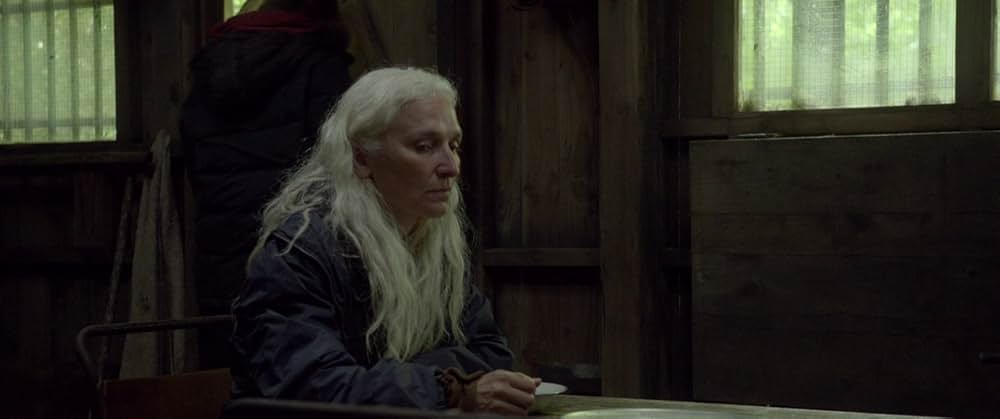 The Survivalist（原題）の画像