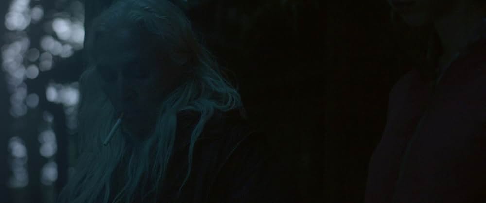 The Survivalist（原題）の画像