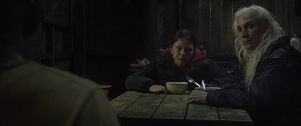 The Survivalist（原題）の画像