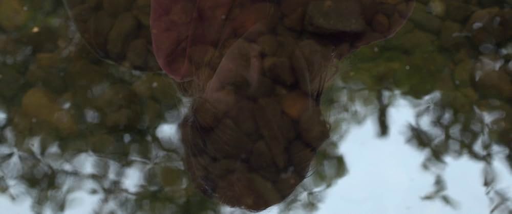 The Survivalist（原題）の画像