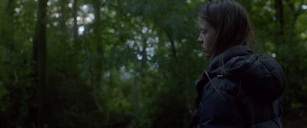 The Survivalist（原題）の画像