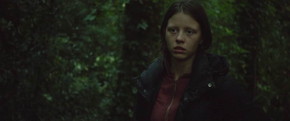 The Survivalist（原題）の画像