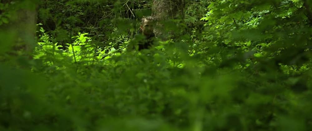 The Survivalist（原題）の画像