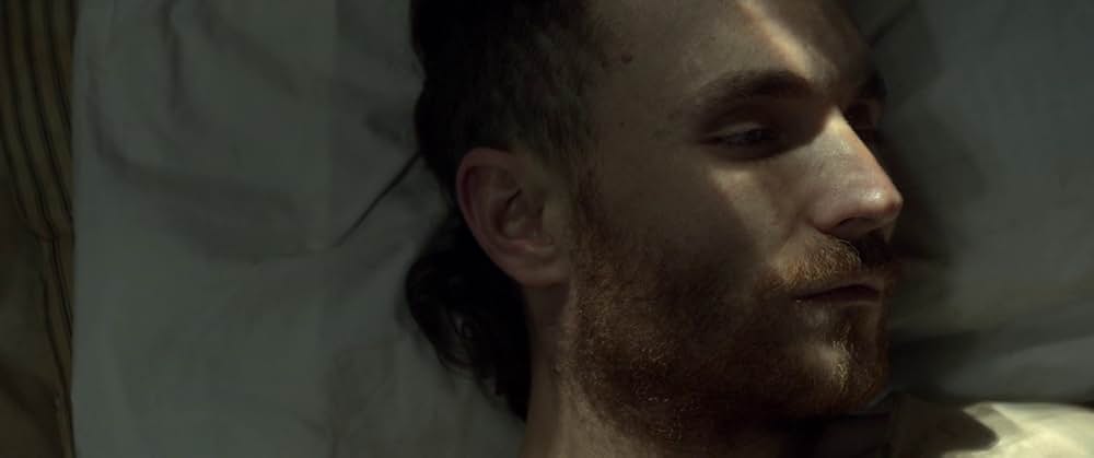 The Survivalist（原題）の画像