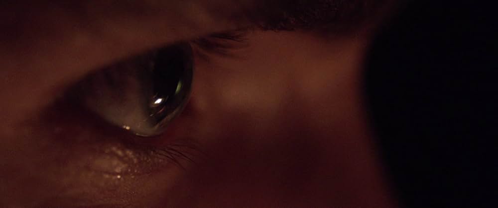 The Survivalist（原題）の画像