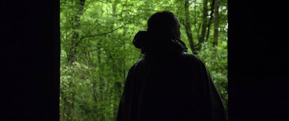 The Survivalist（原題）の画像