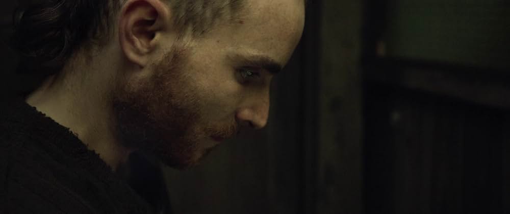 The Survivalist（原題）の画像