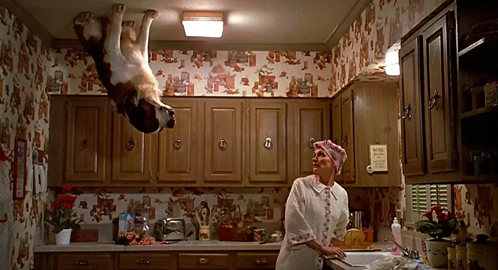 ときめきサイエンス／エレクトリック・ビーナスの画像