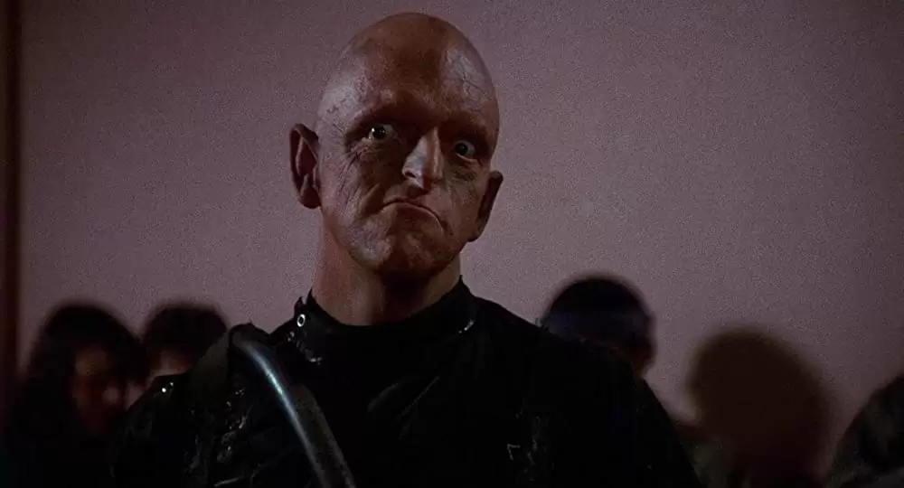 「ときめきサイエンス」Michael Berrymanの画像