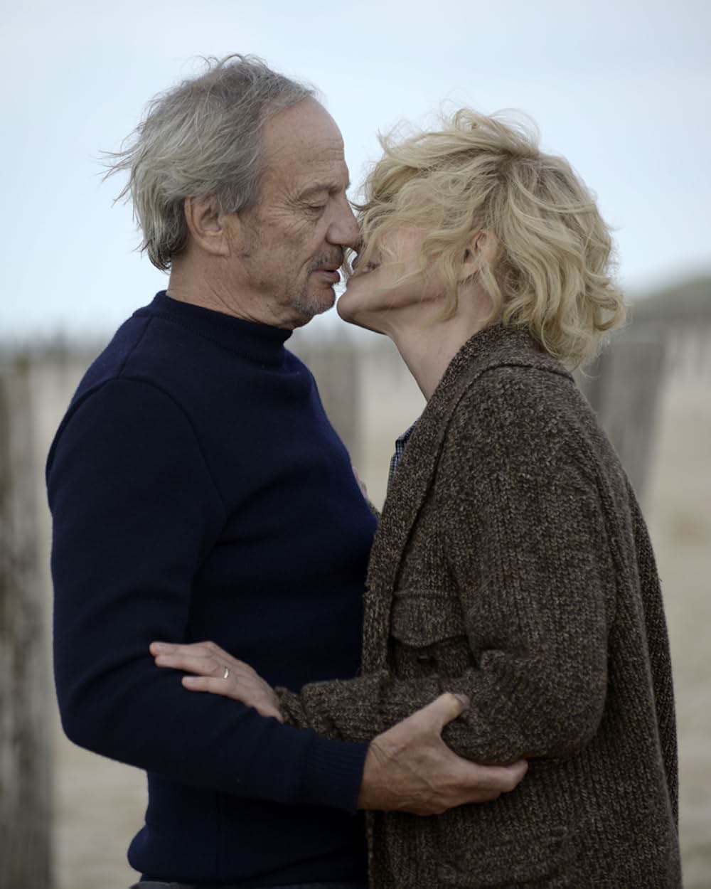 麗しき日々の画像