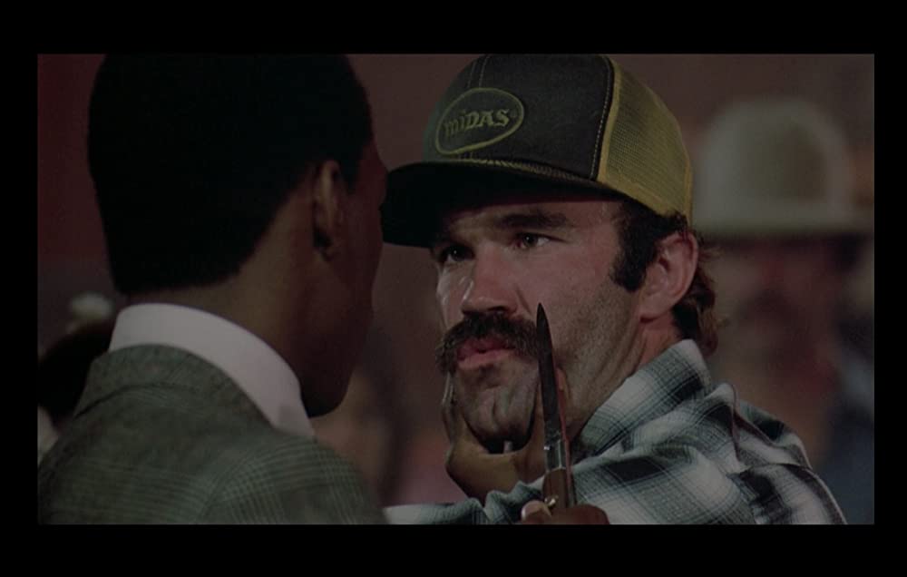 ダブルボーダーの画像