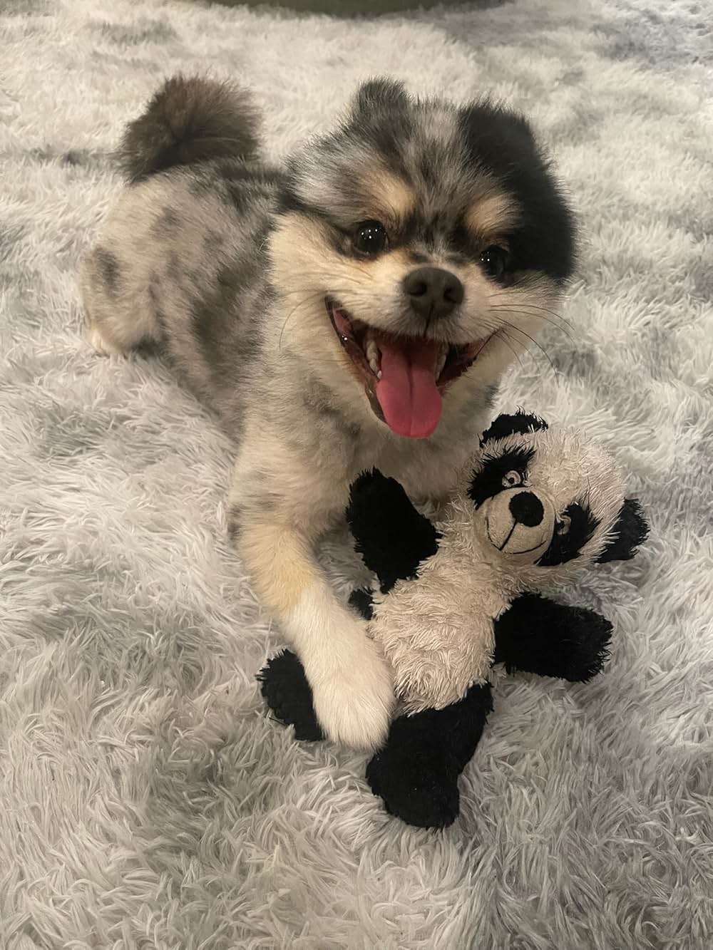 Love At First Lie ～嘘の代償～の写真