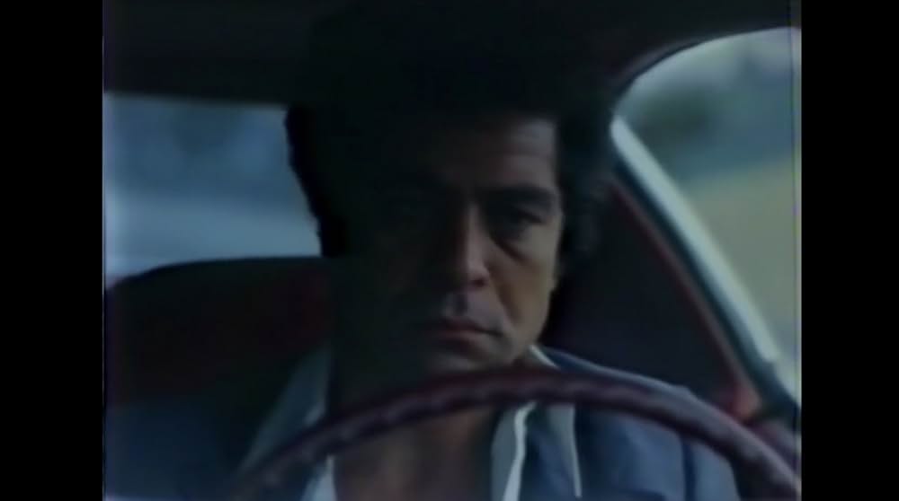 棲みついた猫の画像