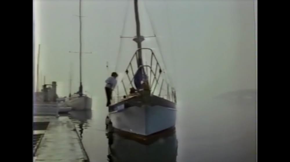 棲みついた猫の画像