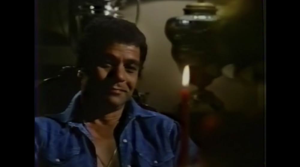 棲みついた猫の画像