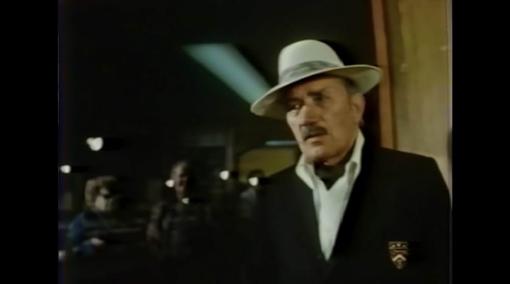 棲みついた猫の画像