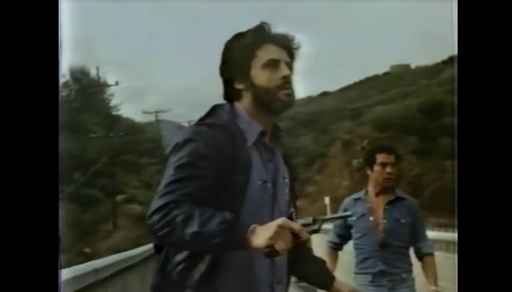 棲みついた猫の画像