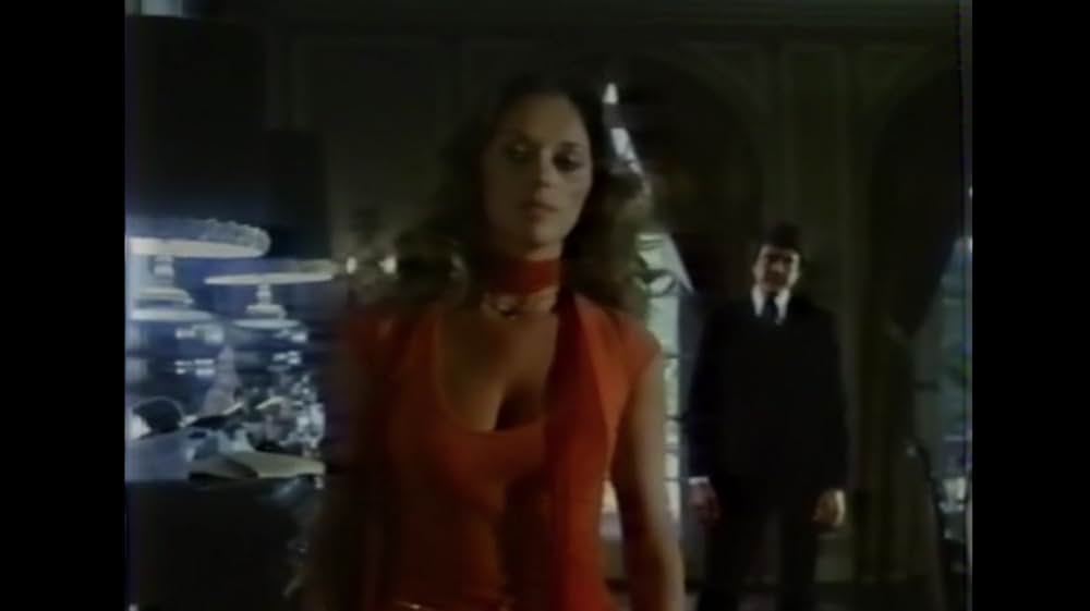 棲みついた猫の画像