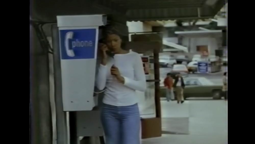 棲みついた猫の画像