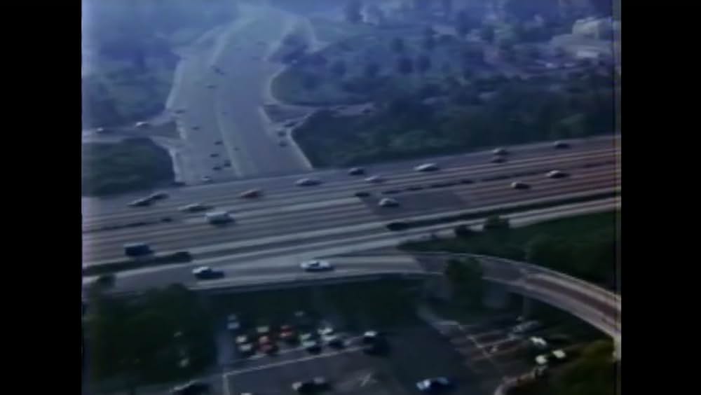 棲みついた猫の画像