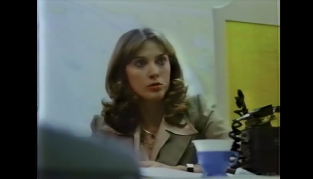 棲みついた猫の画像