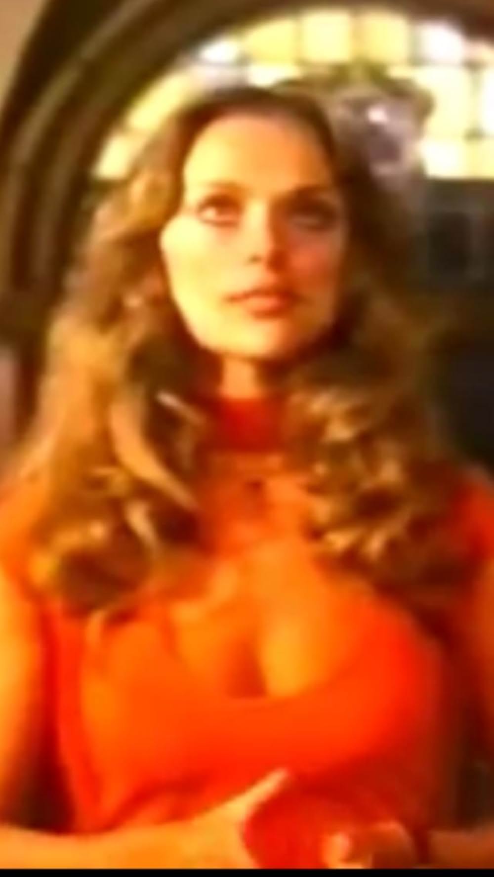 棲みついた猫の画像