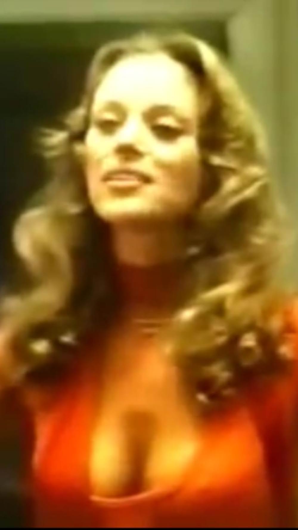 棲みついた猫の画像