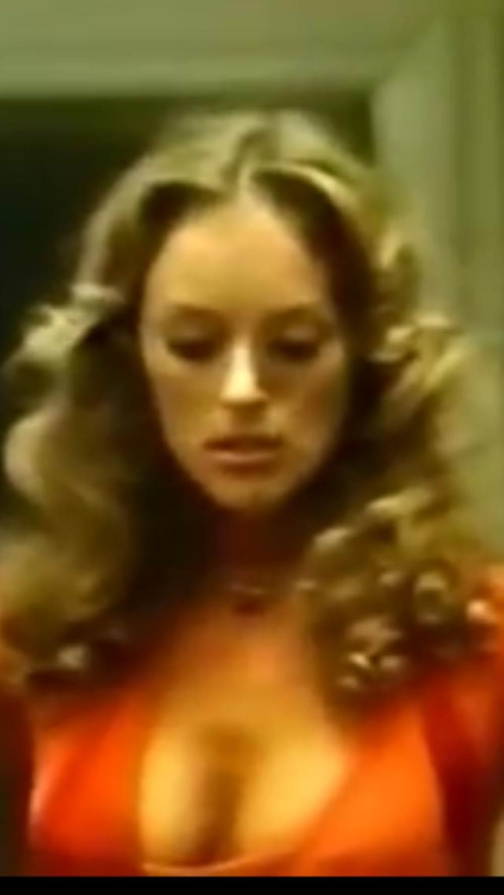 棲みついた猫の写真