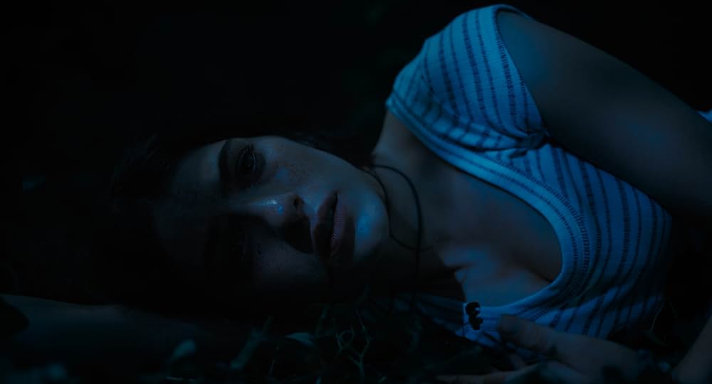 アンティル・ドーンの画像