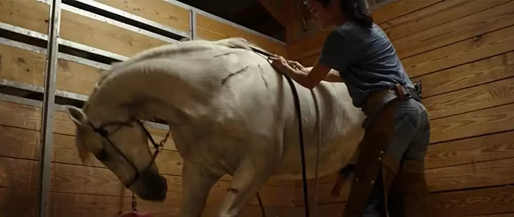 オンリー・ザ・ブレイブの画像