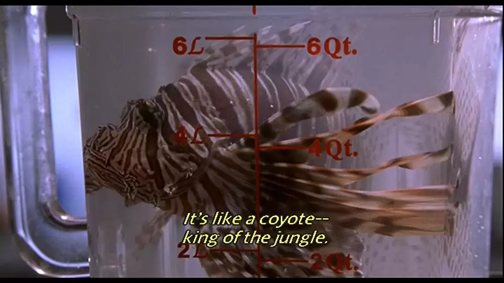 デュース・ビガロウ、激安ジゴロ！?の画像